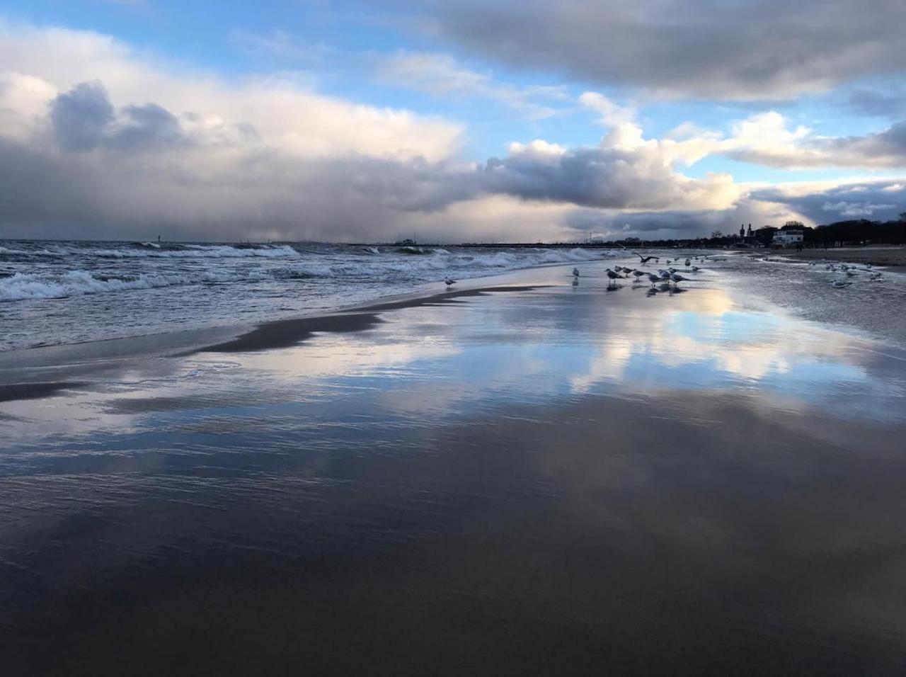 Monte * Sopot